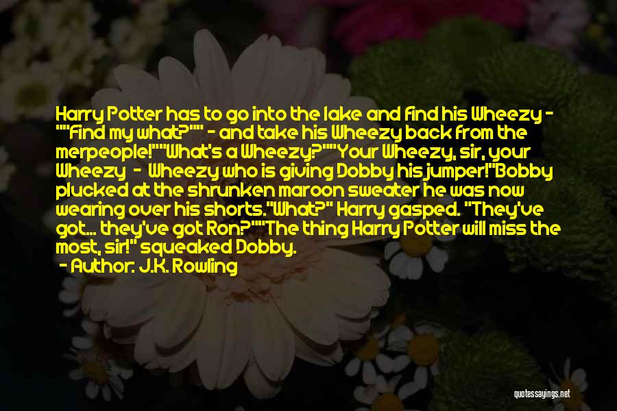 J.K. Rowling Quotes: Harry Potter Has To Go Into The Lake And Find His Wheezy - Find My What? - And Take His