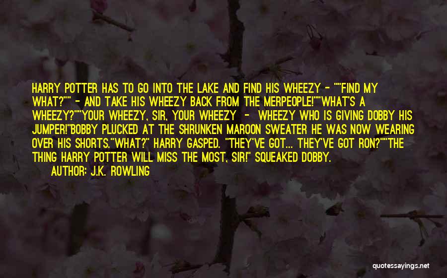 J.K. Rowling Quotes: Harry Potter Has To Go Into The Lake And Find His Wheezy - Find My What? - And Take His