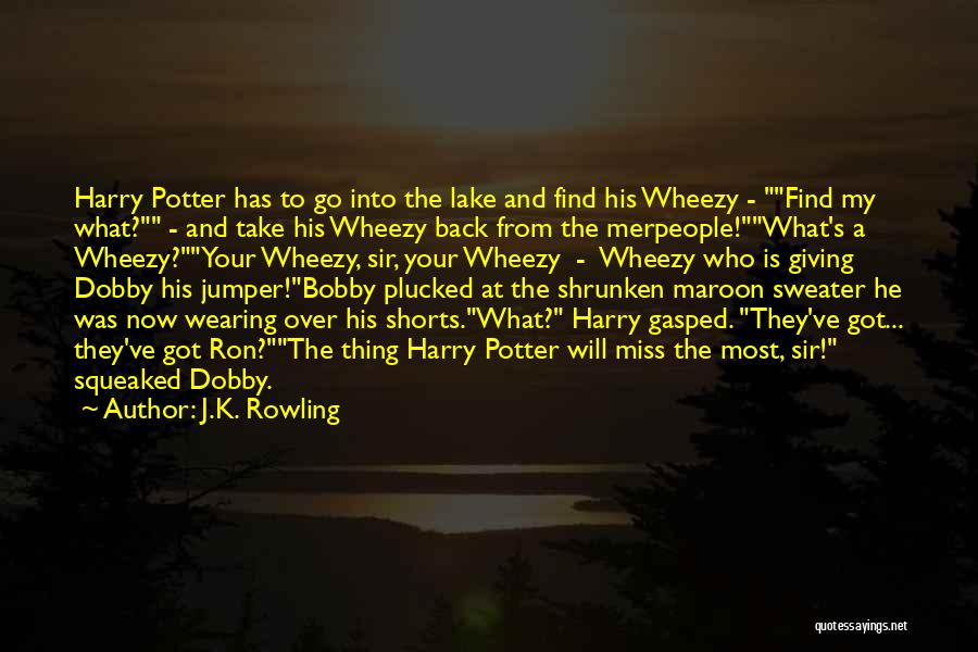 J.K. Rowling Quotes: Harry Potter Has To Go Into The Lake And Find His Wheezy - Find My What? - And Take His