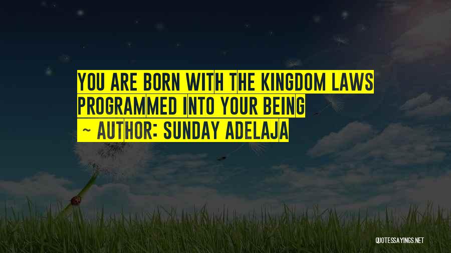 Sunday Adelaja Quotes: You Are Born With The Kingdom Laws Programmed Into Your Being