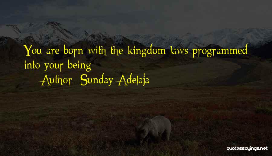 Sunday Adelaja Quotes: You Are Born With The Kingdom Laws Programmed Into Your Being