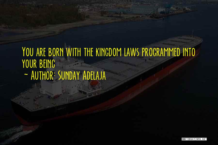 Sunday Adelaja Quotes: You Are Born With The Kingdom Laws Programmed Into Your Being