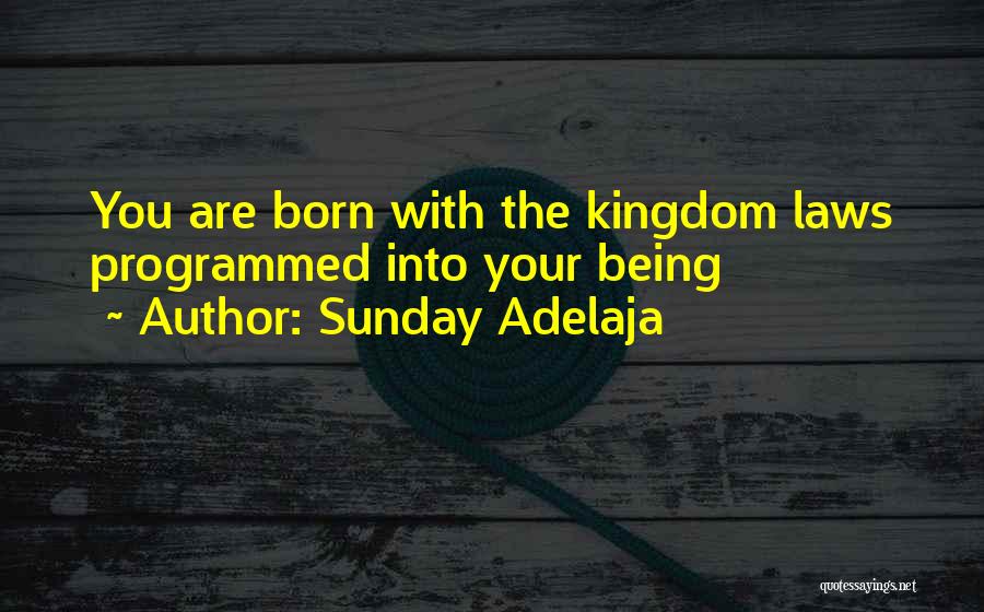 Sunday Adelaja Quotes: You Are Born With The Kingdom Laws Programmed Into Your Being