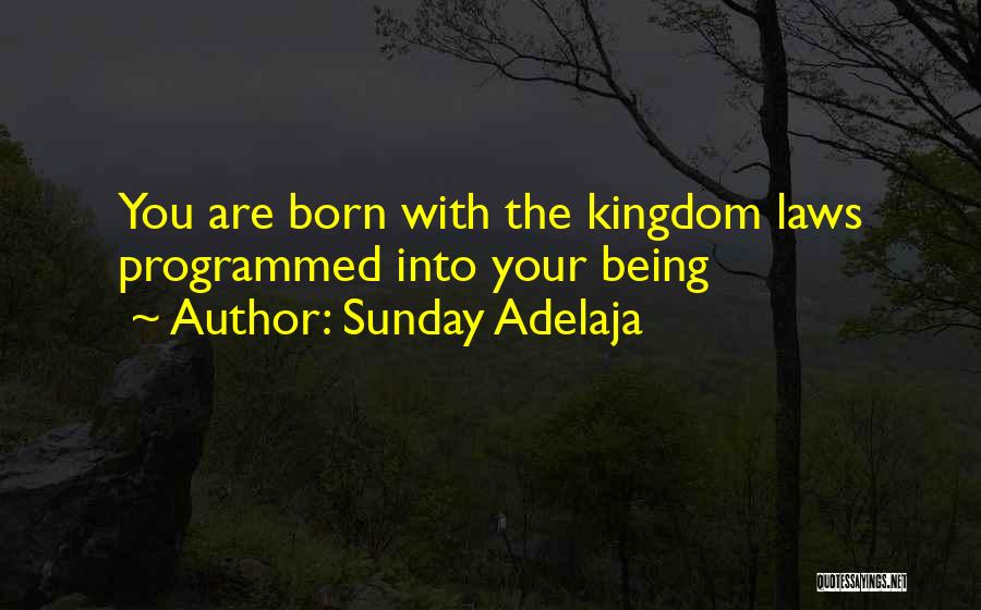 Sunday Adelaja Quotes: You Are Born With The Kingdom Laws Programmed Into Your Being
