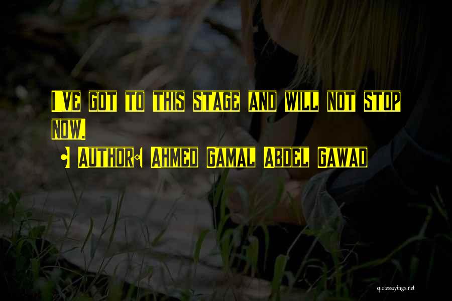 Ahmed Gamal Abdel Gawad Quotes: I've Got To This Stage And Will Not Stop Now.