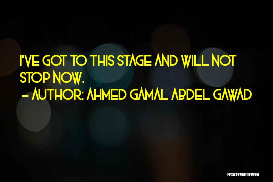 Ahmed Gamal Abdel Gawad Quotes: I've Got To This Stage And Will Not Stop Now.