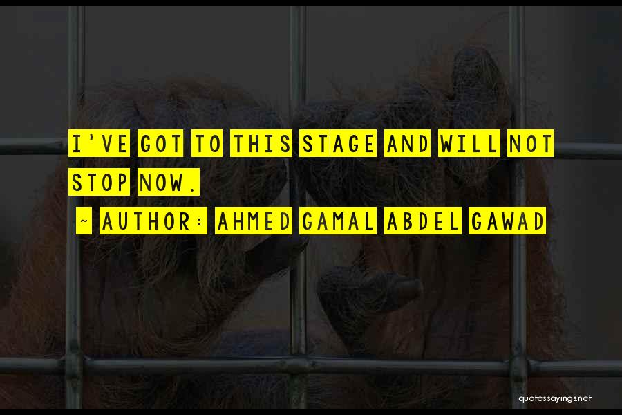 Ahmed Gamal Abdel Gawad Quotes: I've Got To This Stage And Will Not Stop Now.