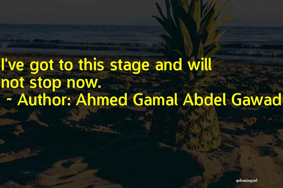 Ahmed Gamal Abdel Gawad Quotes: I've Got To This Stage And Will Not Stop Now.