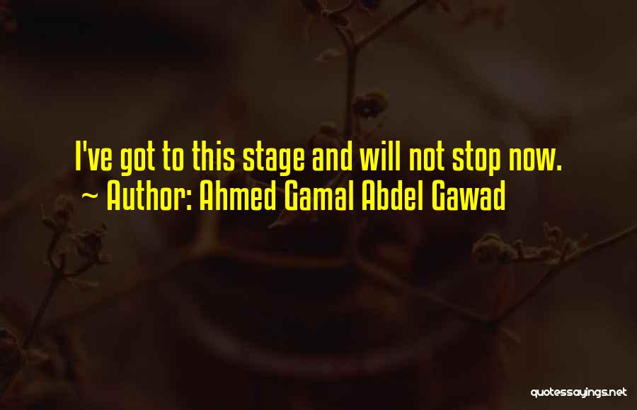 Ahmed Gamal Abdel Gawad Quotes: I've Got To This Stage And Will Not Stop Now.