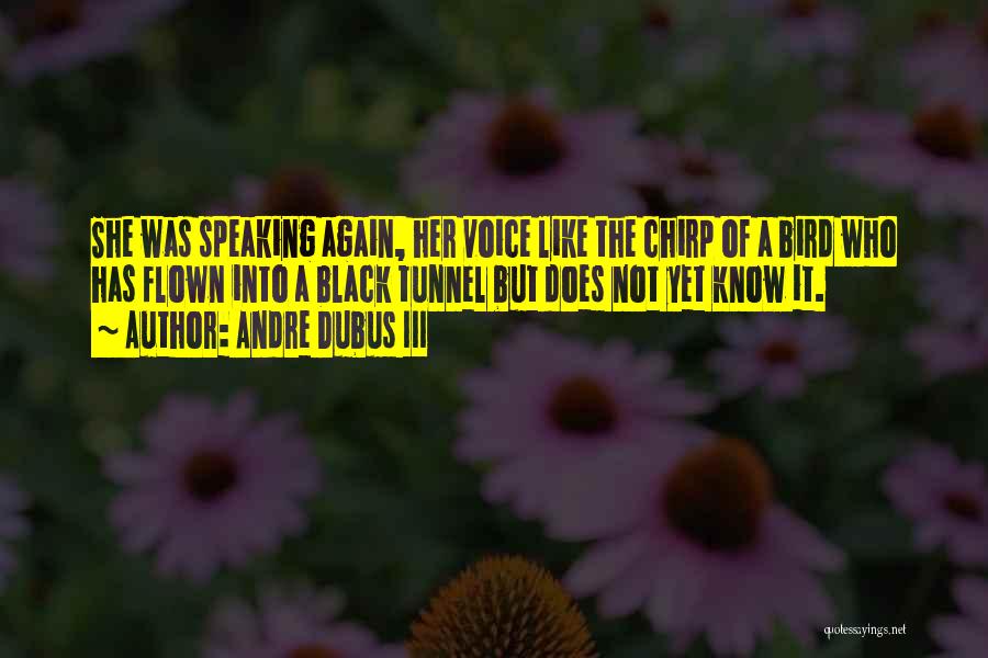 Andre Dubus III Quotes: She Was Speaking Again, Her Voice Like The Chirp Of A Bird Who Has Flown Into A Black Tunnel But