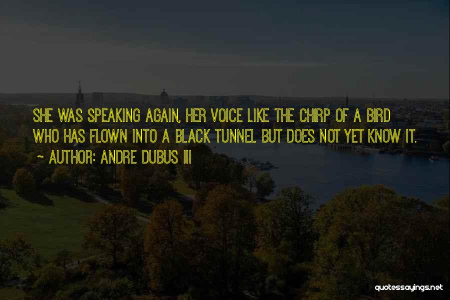 Andre Dubus III Quotes: She Was Speaking Again, Her Voice Like The Chirp Of A Bird Who Has Flown Into A Black Tunnel But