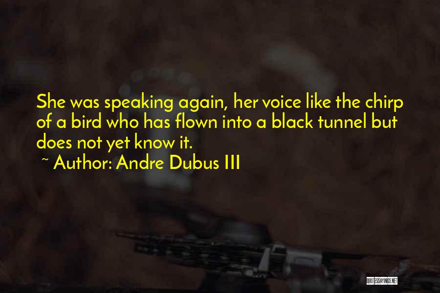 Andre Dubus III Quotes: She Was Speaking Again, Her Voice Like The Chirp Of A Bird Who Has Flown Into A Black Tunnel But