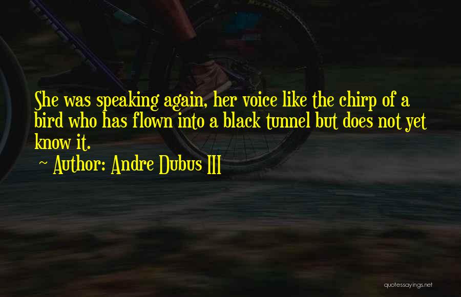 Andre Dubus III Quotes: She Was Speaking Again, Her Voice Like The Chirp Of A Bird Who Has Flown Into A Black Tunnel But