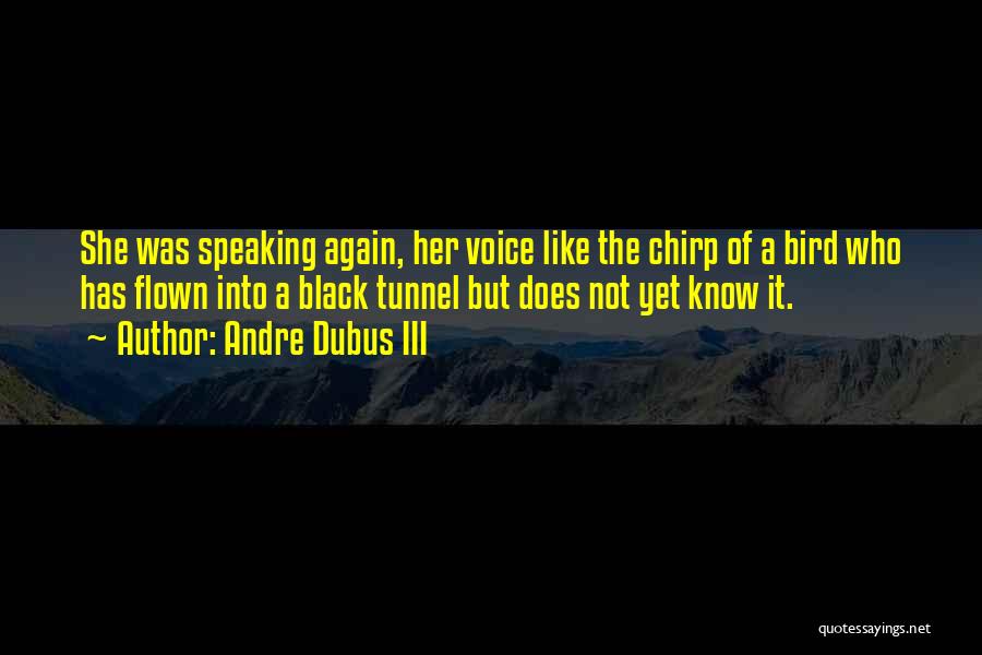 Andre Dubus III Quotes: She Was Speaking Again, Her Voice Like The Chirp Of A Bird Who Has Flown Into A Black Tunnel But