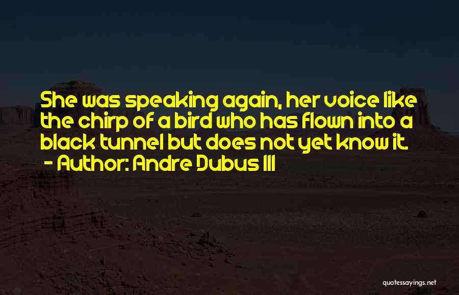 Andre Dubus III Quotes: She Was Speaking Again, Her Voice Like The Chirp Of A Bird Who Has Flown Into A Black Tunnel But