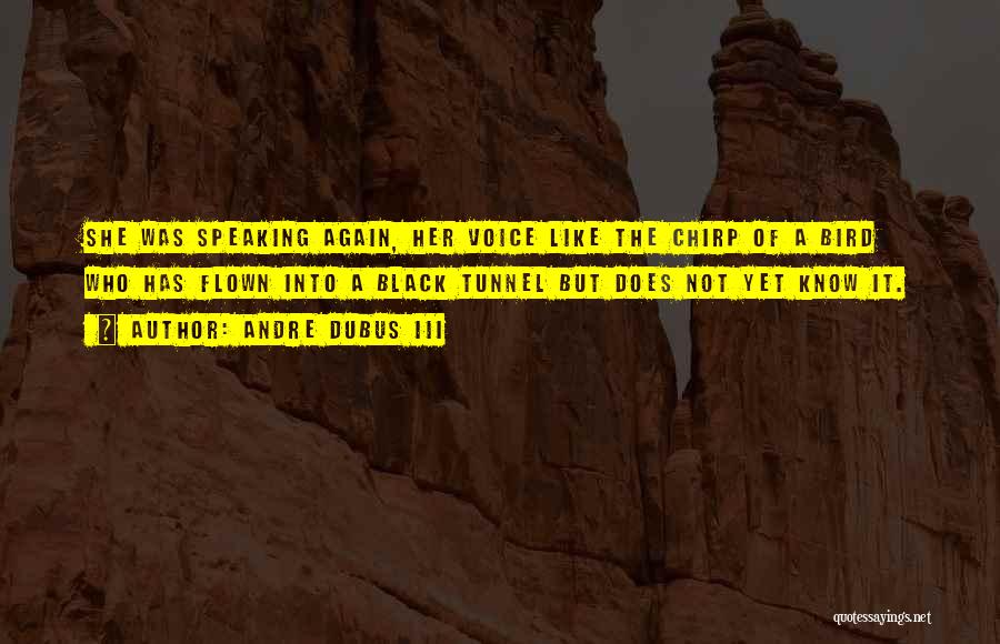 Andre Dubus III Quotes: She Was Speaking Again, Her Voice Like The Chirp Of A Bird Who Has Flown Into A Black Tunnel But