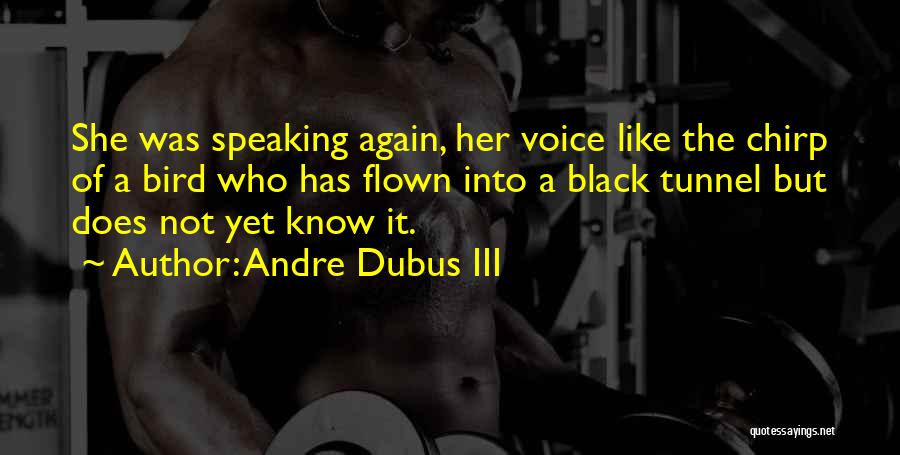 Andre Dubus III Quotes: She Was Speaking Again, Her Voice Like The Chirp Of A Bird Who Has Flown Into A Black Tunnel But
