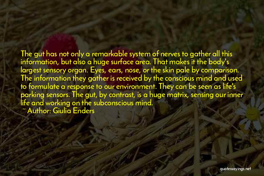 Giulia Enders Quotes: The Gut Has Not Only A Remarkable System Of Nerves To Gather All This Information, But Also A Huge Surface