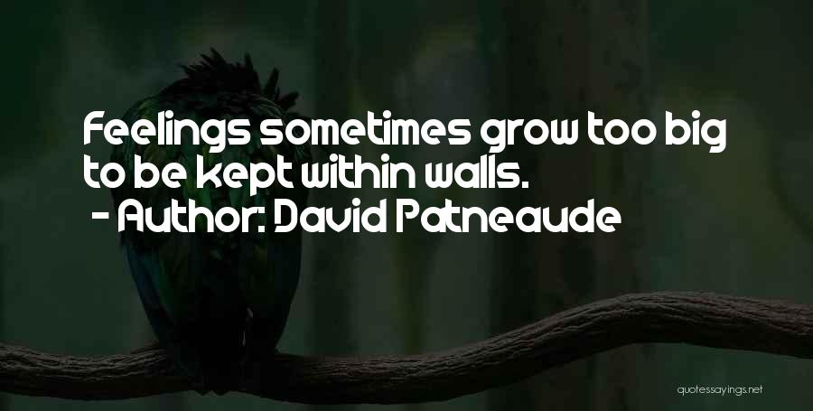 David Patneaude Quotes: Feelings Sometimes Grow Too Big To Be Kept Within Walls.