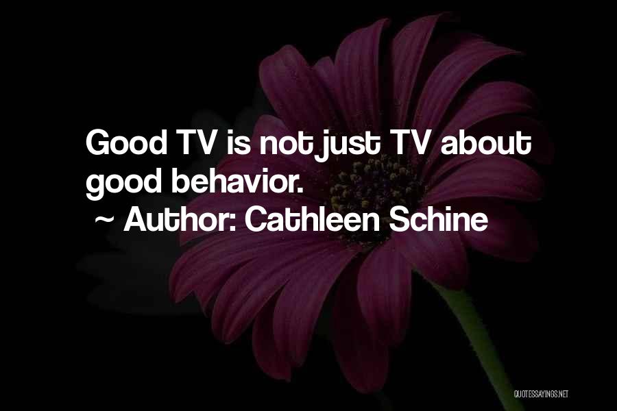 Cathleen Schine Quotes: Good Tv Is Not Just Tv About Good Behavior.