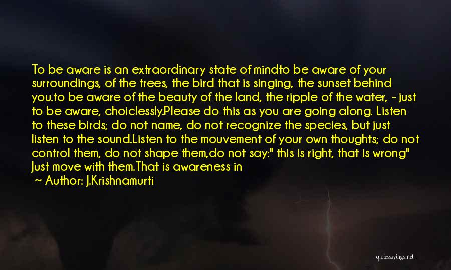 J.Krishnamurti Quotes: To Be Aware Is An Extraordinary State Of Mindto Be Aware Of Your Surroundings, Of The Trees, The Bird That