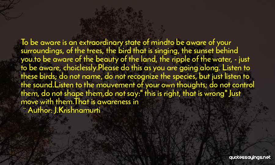 J.Krishnamurti Quotes: To Be Aware Is An Extraordinary State Of Mindto Be Aware Of Your Surroundings, Of The Trees, The Bird That