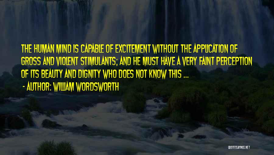 William Wordsworth Quotes: The Human Mind Is Capable Of Excitement Without The Application Of Gross And Violent Stimulants; And He Must Have A