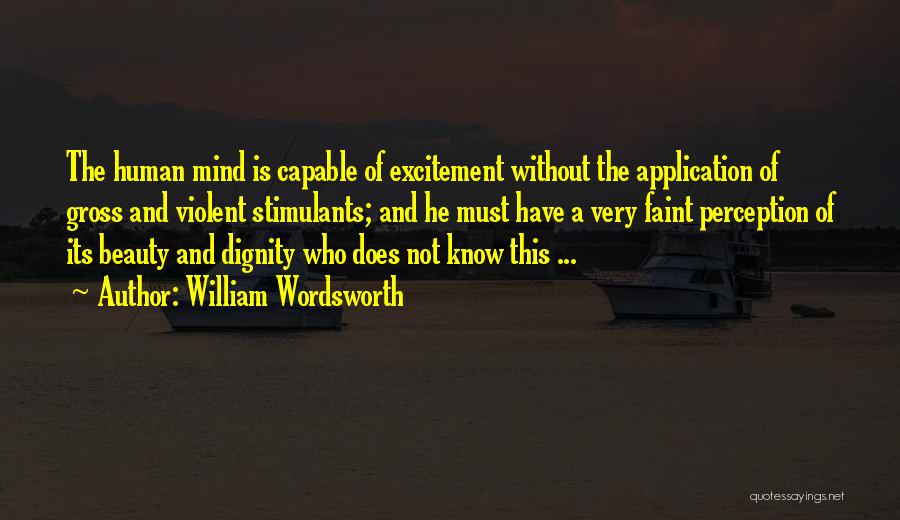 William Wordsworth Quotes: The Human Mind Is Capable Of Excitement Without The Application Of Gross And Violent Stimulants; And He Must Have A