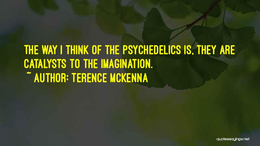 Terence McKenna Quotes: The Way I Think Of The Psychedelics Is, They Are Catalysts To The Imagination.