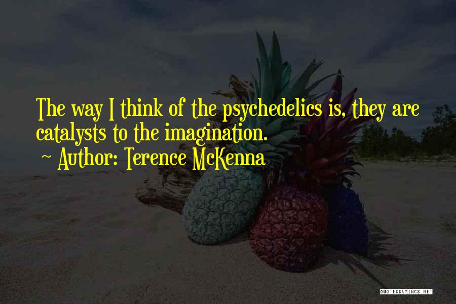 Terence McKenna Quotes: The Way I Think Of The Psychedelics Is, They Are Catalysts To The Imagination.