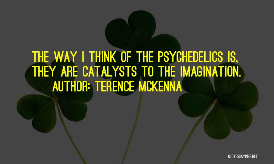 Terence McKenna Quotes: The Way I Think Of The Psychedelics Is, They Are Catalysts To The Imagination.