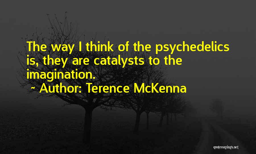 Terence McKenna Quotes: The Way I Think Of The Psychedelics Is, They Are Catalysts To The Imagination.