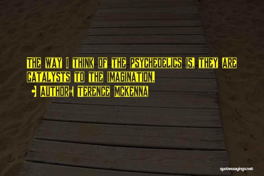 Terence McKenna Quotes: The Way I Think Of The Psychedelics Is, They Are Catalysts To The Imagination.