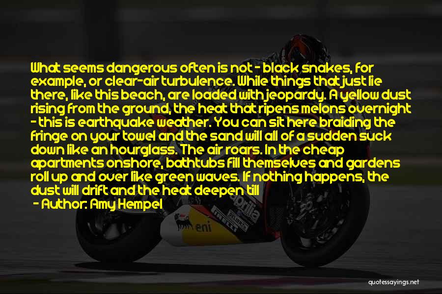 Amy Hempel Quotes: What Seems Dangerous Often Is Not - Black Snakes, For Example, Or Clear-air Turbulence. While Things That Just Lie There,