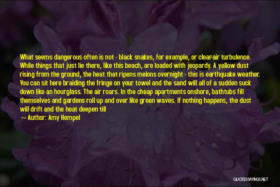 Amy Hempel Quotes: What Seems Dangerous Often Is Not - Black Snakes, For Example, Or Clear-air Turbulence. While Things That Just Lie There,