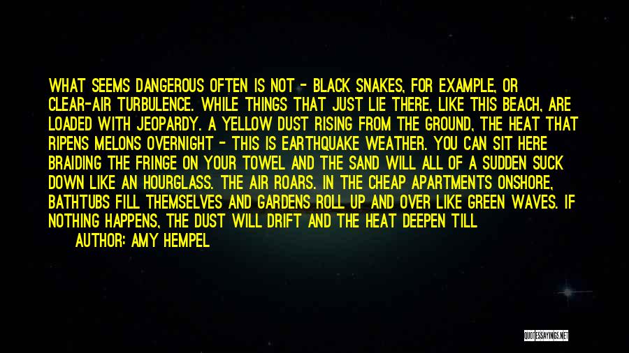 Amy Hempel Quotes: What Seems Dangerous Often Is Not - Black Snakes, For Example, Or Clear-air Turbulence. While Things That Just Lie There,