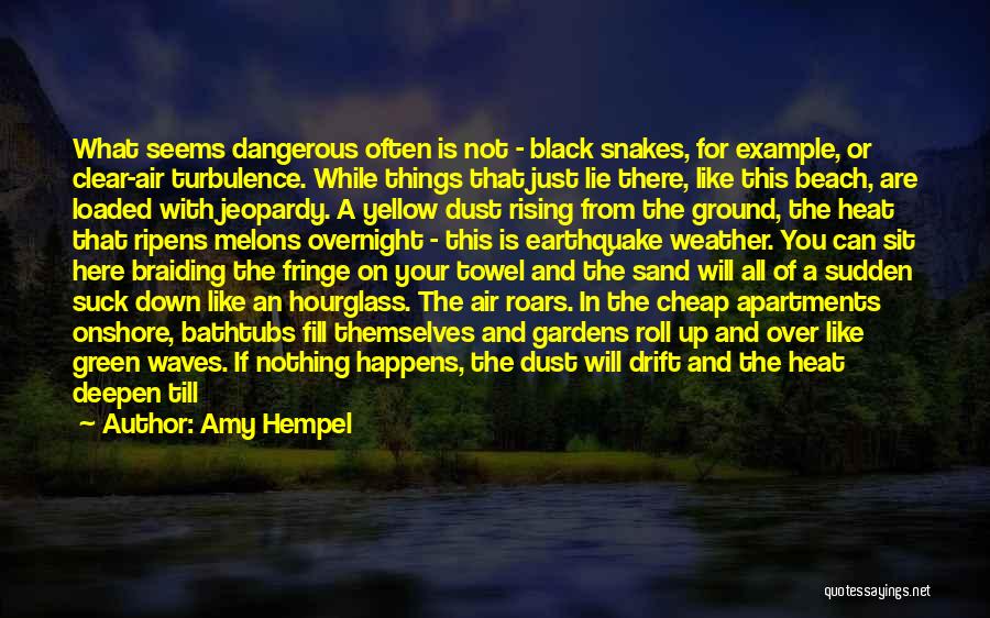 Amy Hempel Quotes: What Seems Dangerous Often Is Not - Black Snakes, For Example, Or Clear-air Turbulence. While Things That Just Lie There,