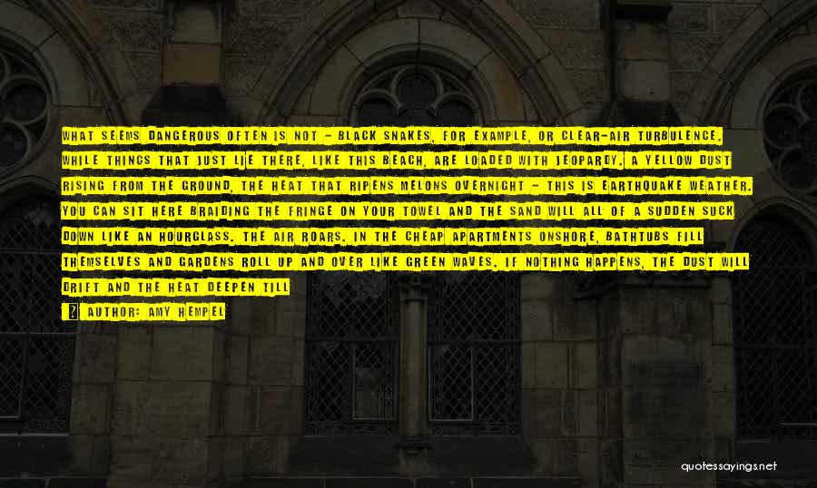 Amy Hempel Quotes: What Seems Dangerous Often Is Not - Black Snakes, For Example, Or Clear-air Turbulence. While Things That Just Lie There,