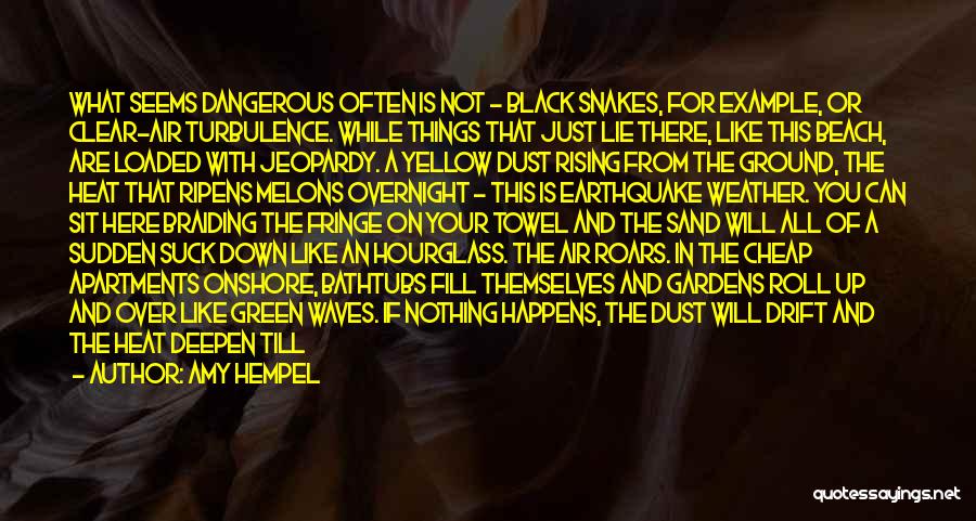 Amy Hempel Quotes: What Seems Dangerous Often Is Not - Black Snakes, For Example, Or Clear-air Turbulence. While Things That Just Lie There,