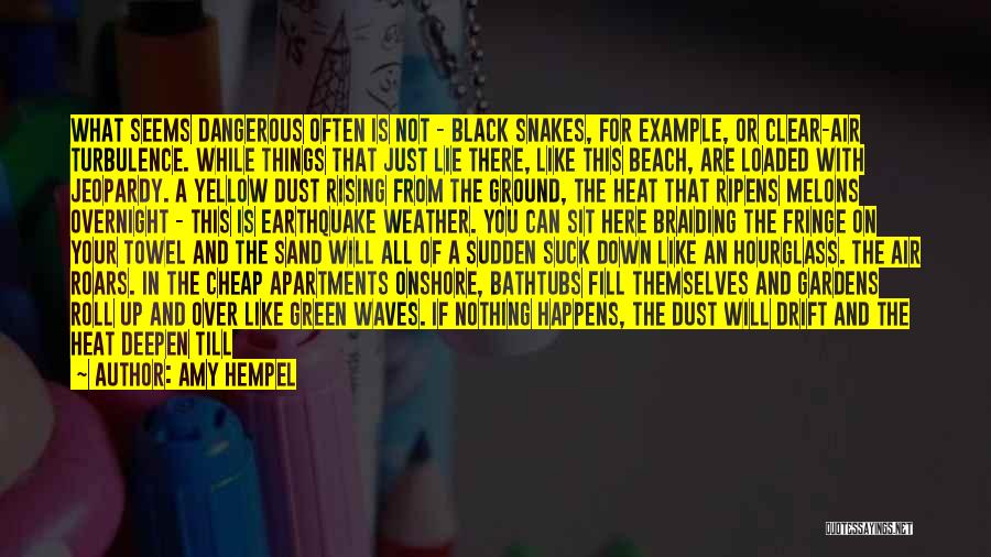 Amy Hempel Quotes: What Seems Dangerous Often Is Not - Black Snakes, For Example, Or Clear-air Turbulence. While Things That Just Lie There,