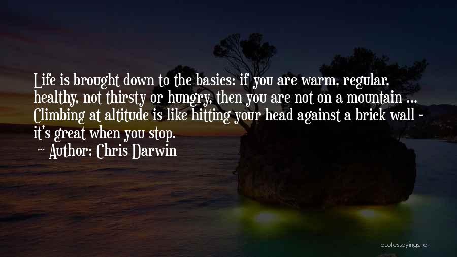 Chris Darwin Quotes: Life Is Brought Down To The Basics: If You Are Warm, Regular, Healthy, Not Thirsty Or Hungry, Then You Are