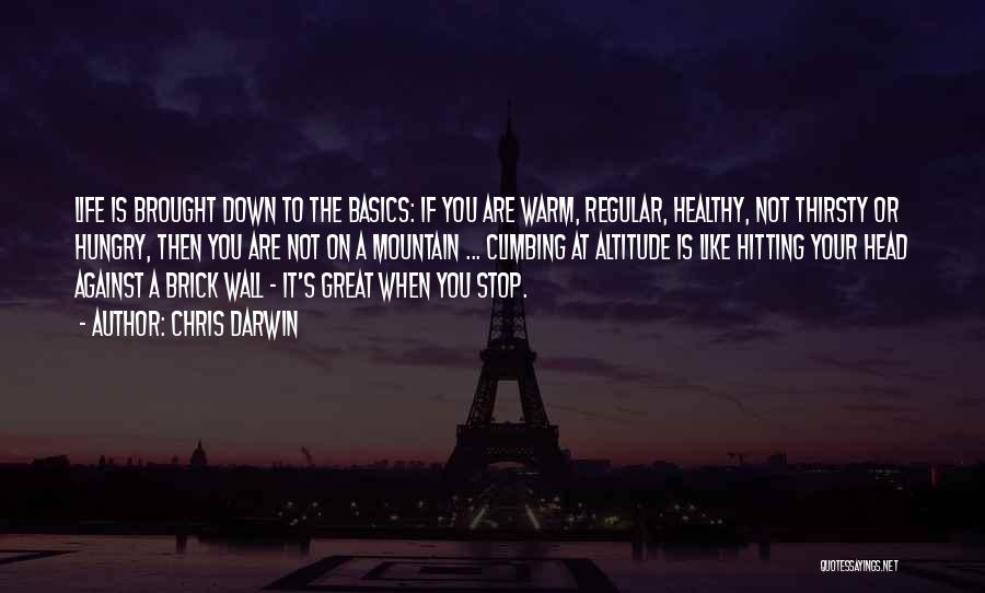 Chris Darwin Quotes: Life Is Brought Down To The Basics: If You Are Warm, Regular, Healthy, Not Thirsty Or Hungry, Then You Are