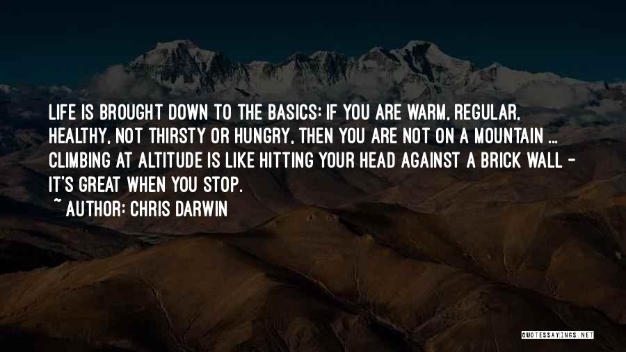 Chris Darwin Quotes: Life Is Brought Down To The Basics: If You Are Warm, Regular, Healthy, Not Thirsty Or Hungry, Then You Are