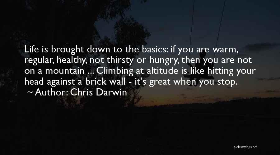 Chris Darwin Quotes: Life Is Brought Down To The Basics: If You Are Warm, Regular, Healthy, Not Thirsty Or Hungry, Then You Are