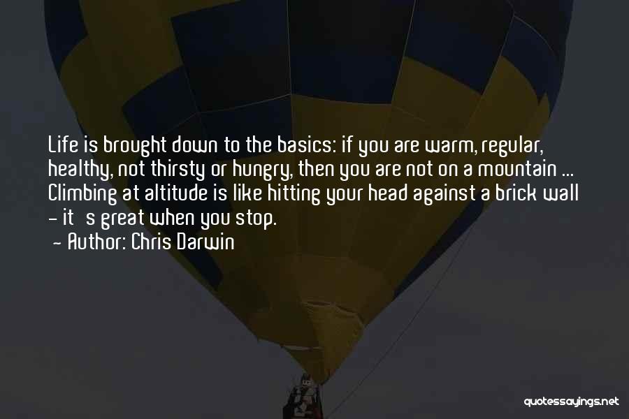 Chris Darwin Quotes: Life Is Brought Down To The Basics: If You Are Warm, Regular, Healthy, Not Thirsty Or Hungry, Then You Are