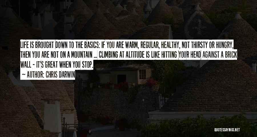 Chris Darwin Quotes: Life Is Brought Down To The Basics: If You Are Warm, Regular, Healthy, Not Thirsty Or Hungry, Then You Are