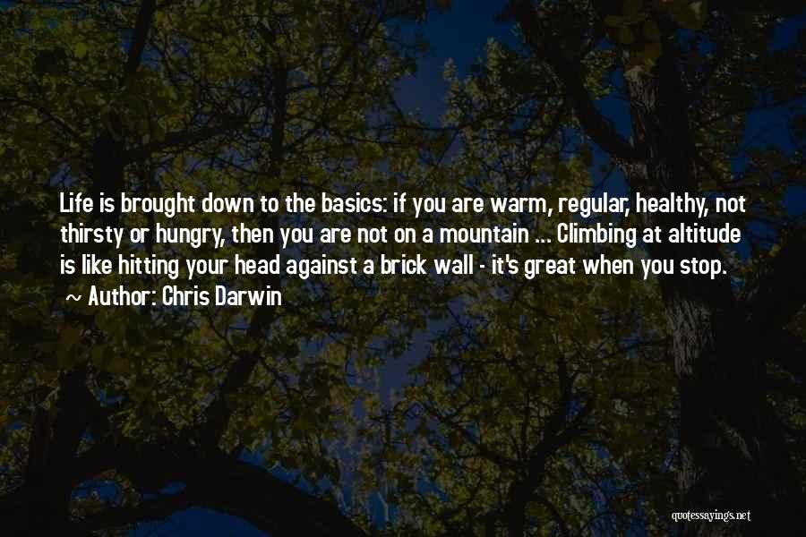 Chris Darwin Quotes: Life Is Brought Down To The Basics: If You Are Warm, Regular, Healthy, Not Thirsty Or Hungry, Then You Are