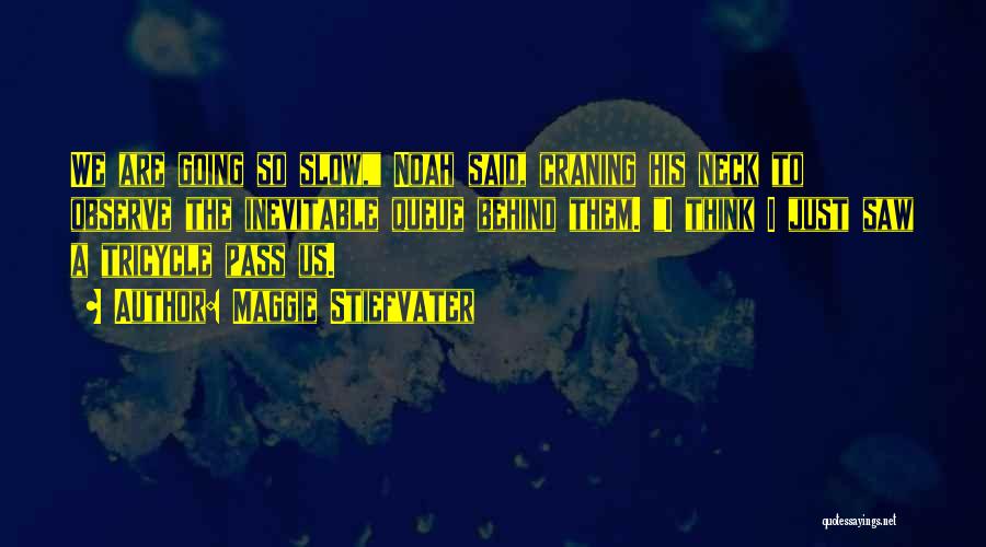 Maggie Stiefvater Quotes: We Are Going So Slow, Noah Said, Craning His Neck To Observe The Inevitable Queue Behind Them. I Think I