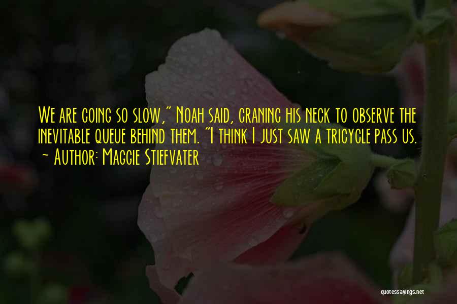 Maggie Stiefvater Quotes: We Are Going So Slow, Noah Said, Craning His Neck To Observe The Inevitable Queue Behind Them. I Think I