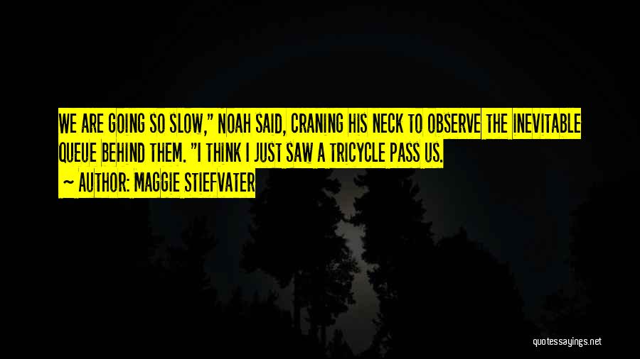 Maggie Stiefvater Quotes: We Are Going So Slow, Noah Said, Craning His Neck To Observe The Inevitable Queue Behind Them. I Think I